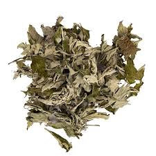 Mugwort Leaf (Artemisia vulgaris)